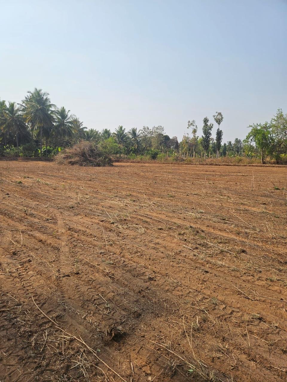 9-Acre-Farm-Land
