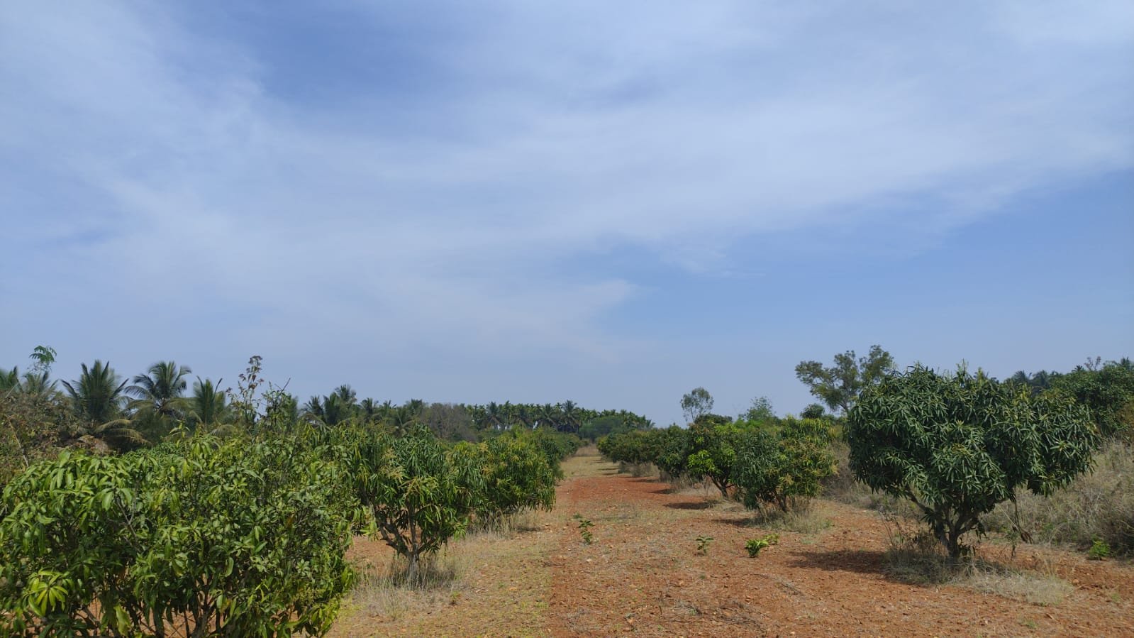 IMG-20230607-WA0004