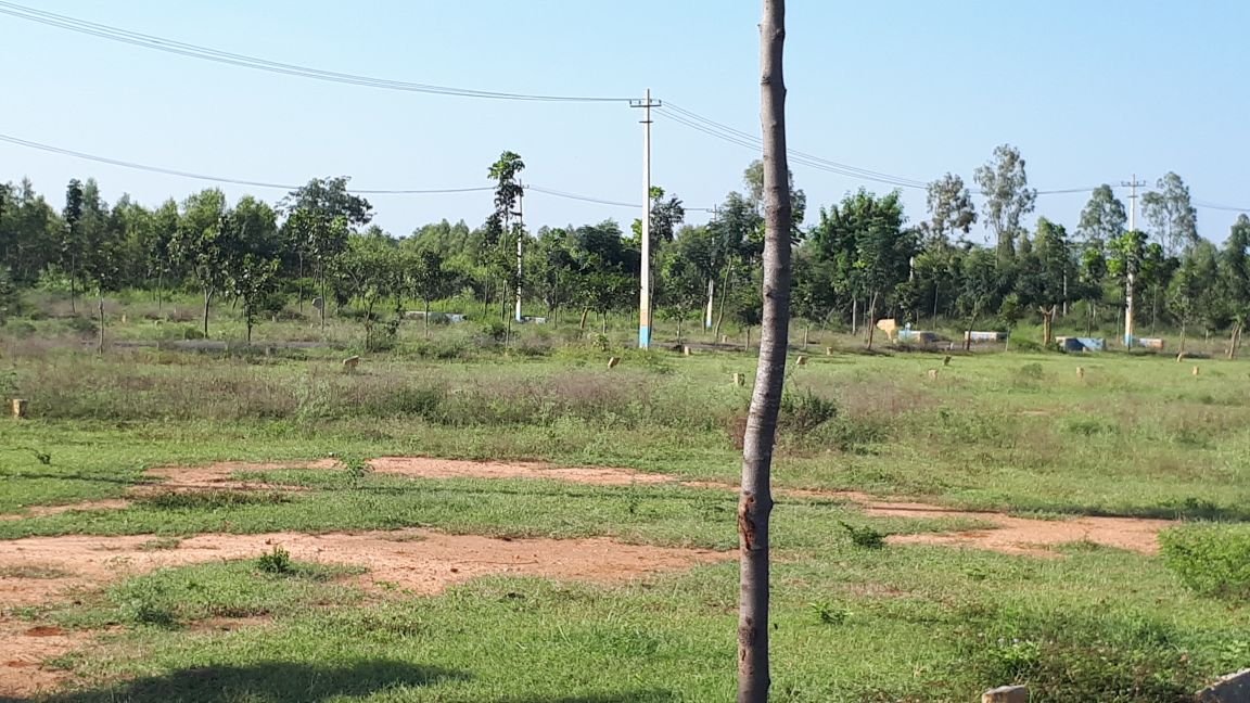 Land-for-sale