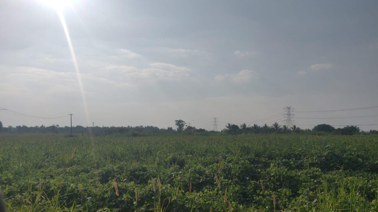 9-Acre-Farm-Land-For-Sale-in-Tubagere