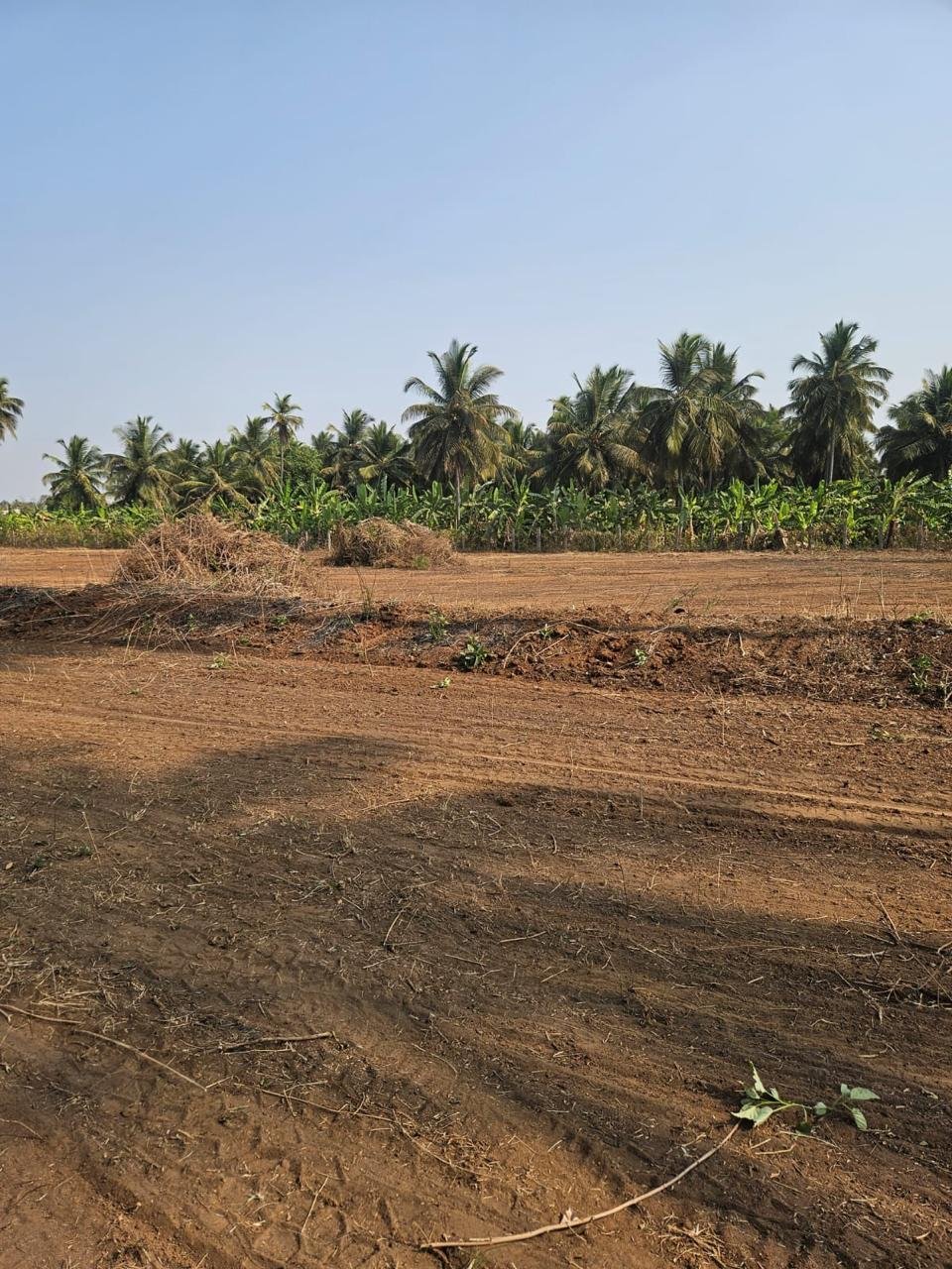 9-Acre-Farm-Land-For-Sale