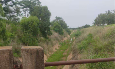 13-Acres-Agriculture-land-1