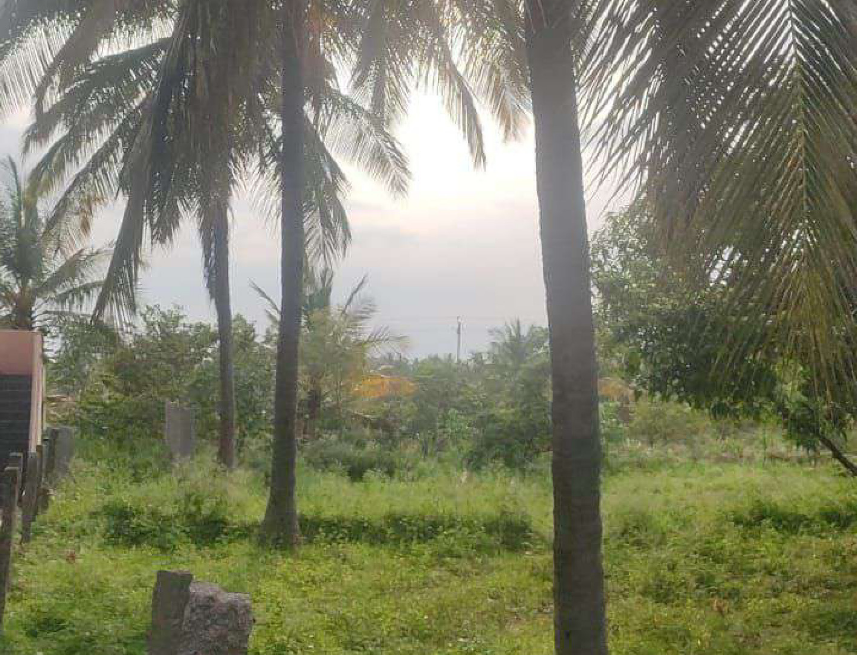 13-Acres-Agriculture-land-2