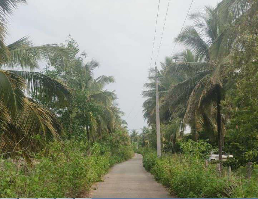 13-Acres-Agriculture-land-Road