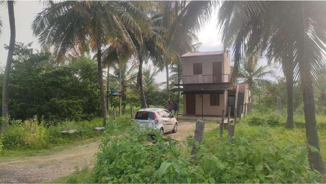 13-Acres-Agriculture-land-for-sale