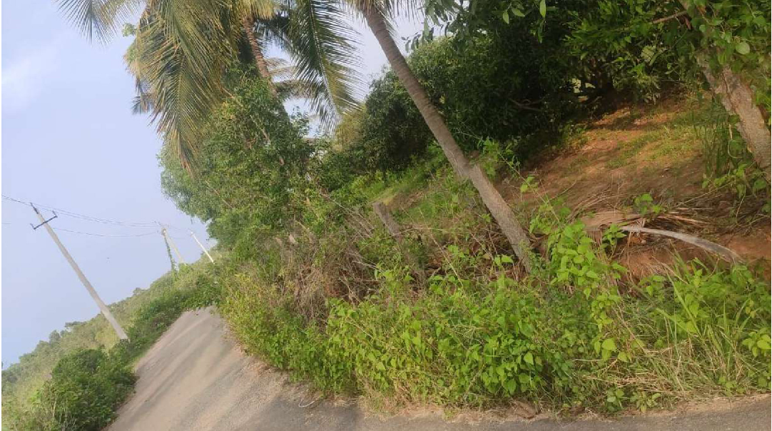 13-Acres-Agriculture-land