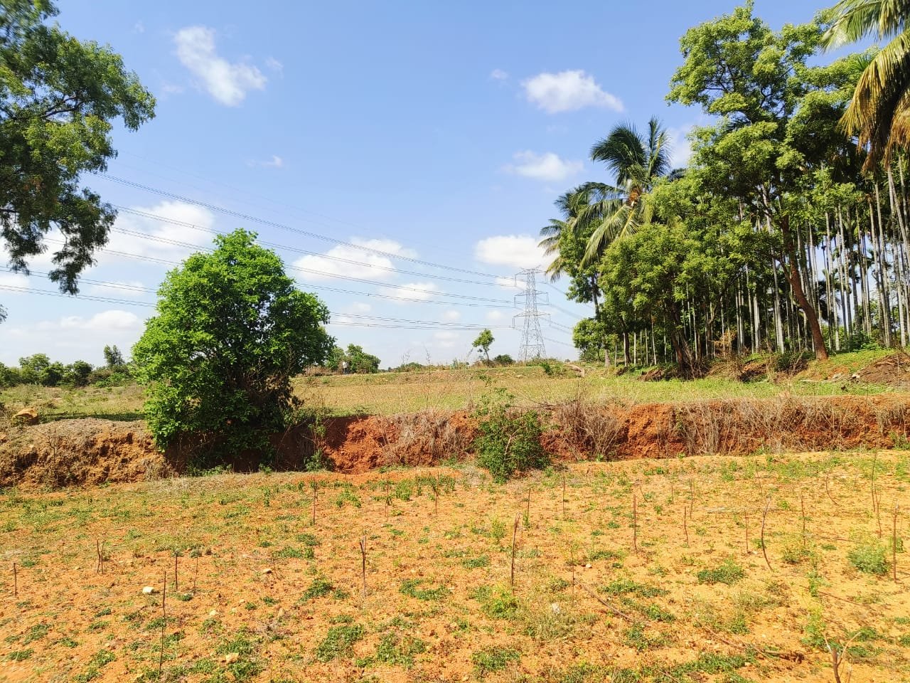 2-Acres-Kalkere-Ravi-Thotlkere-Kortagere-3-pic