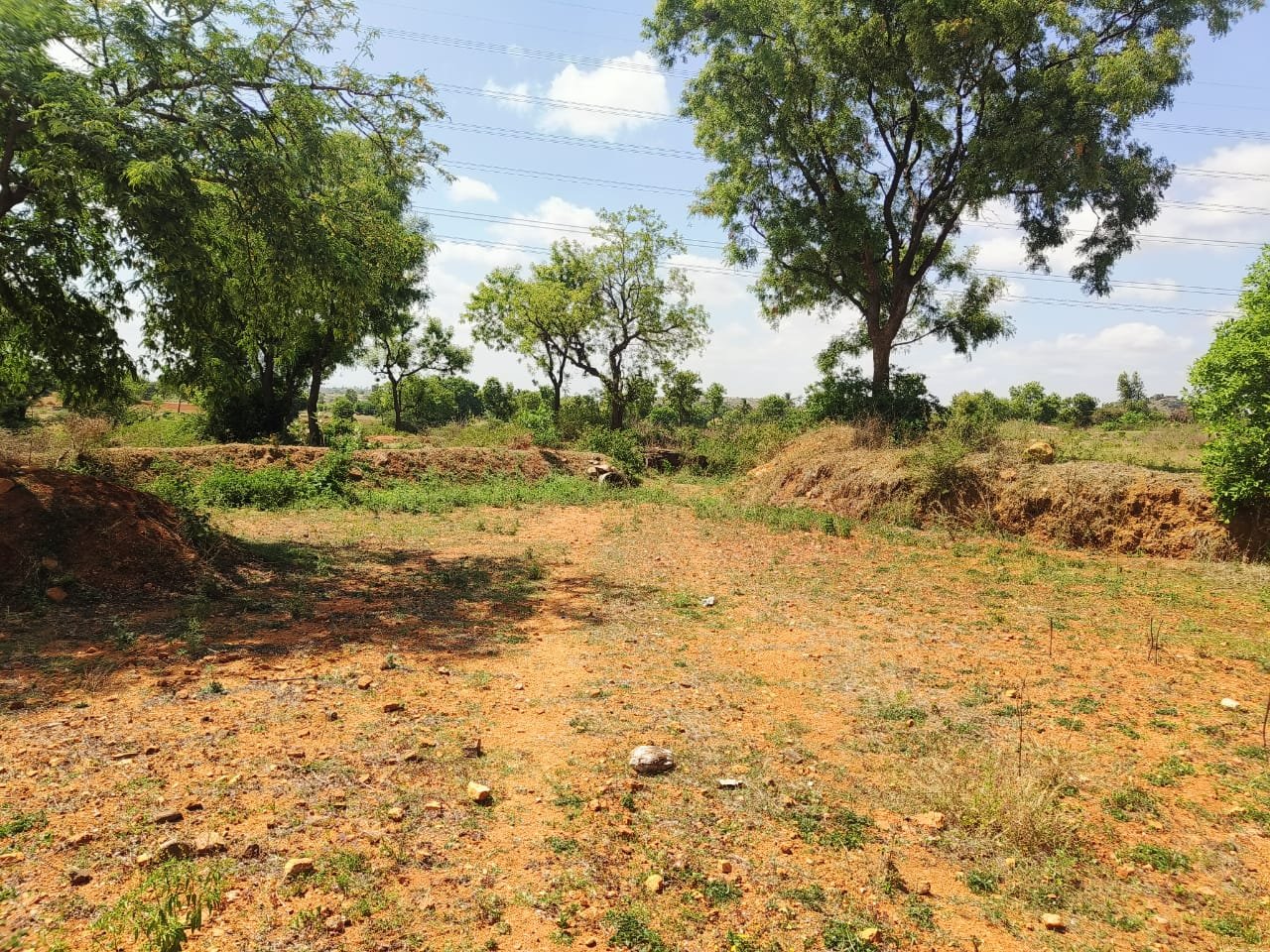 2-Acres-Kalkere-Ravi-Thotlkere-Kortagere-pic-4