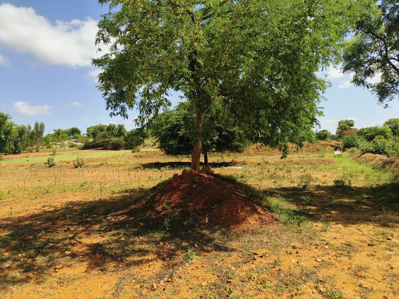 2-Acres-Kalkere-Ravi-Thotlkere-Kortagere