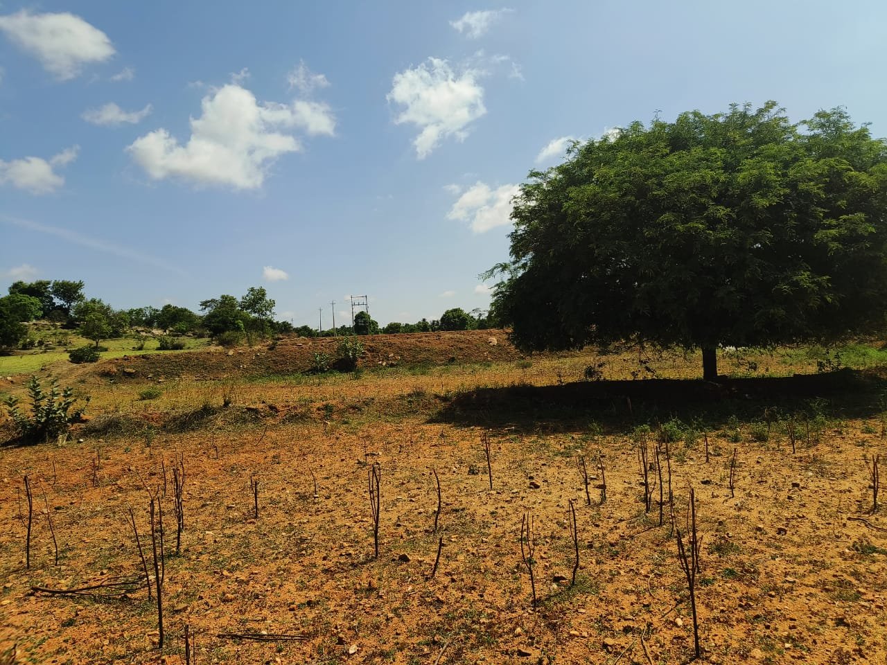 2-Acres-Kalkere-Ravi-Thotlkere-Kortagere1-pic