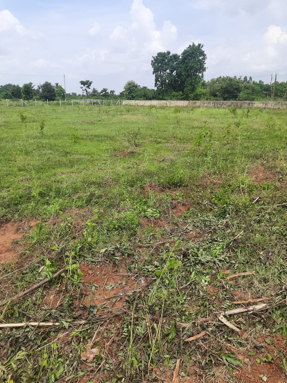 35-GUNTAS-KUNIMADIWALA-VISHWANATH-R-PIC-4