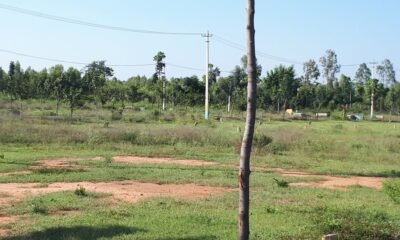 Land-for-sale