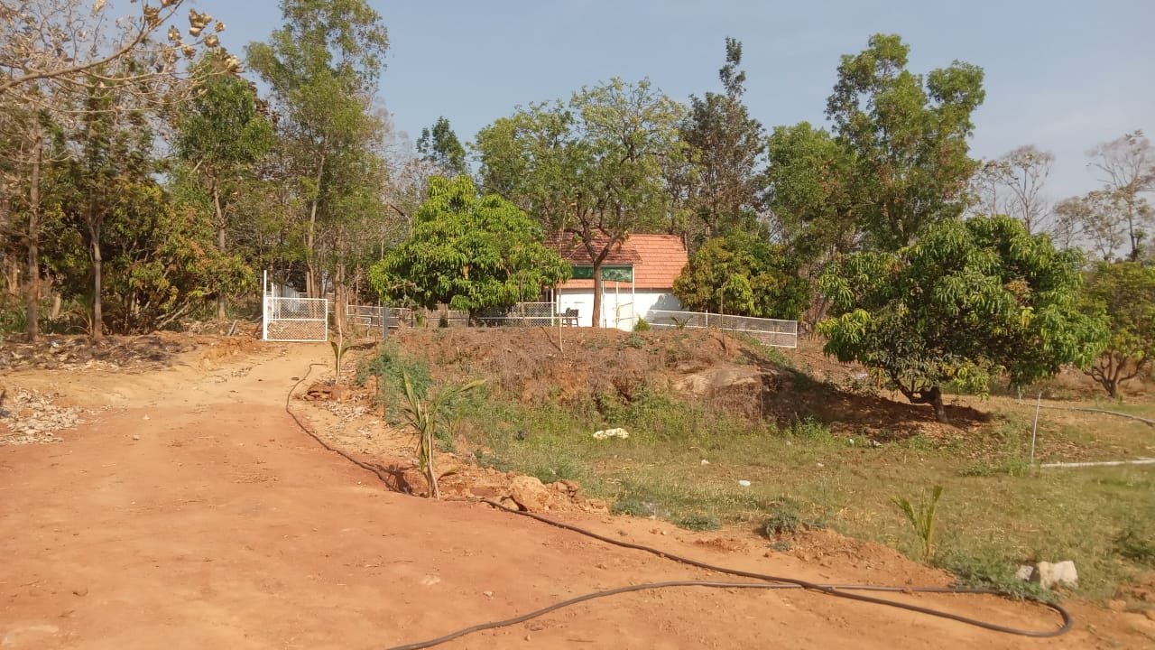 WhatsApp-Image-2023-04-12-at-6.42.10-PM