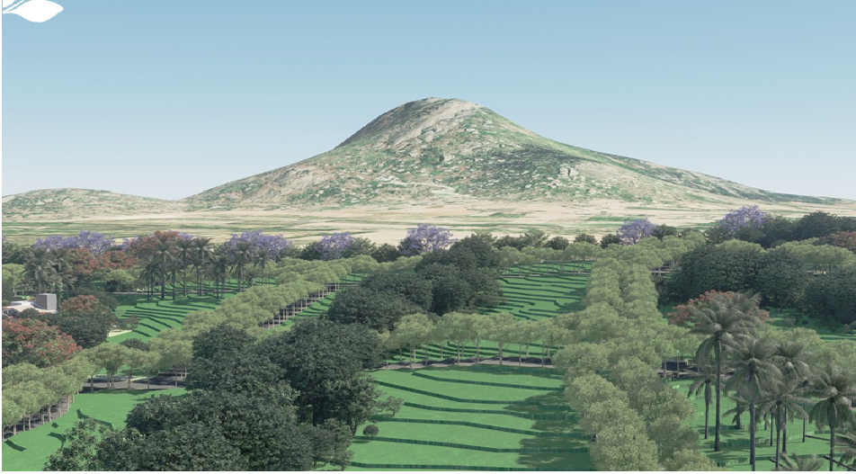 Ayra-Woods-Farm-Plots