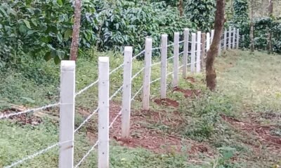 WhatsApp-Image-2025-02-24-at-6.00.07-PM