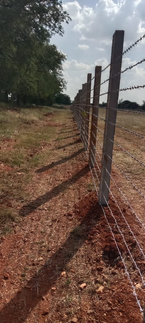 15-Acres-Kyadikunte-Rama