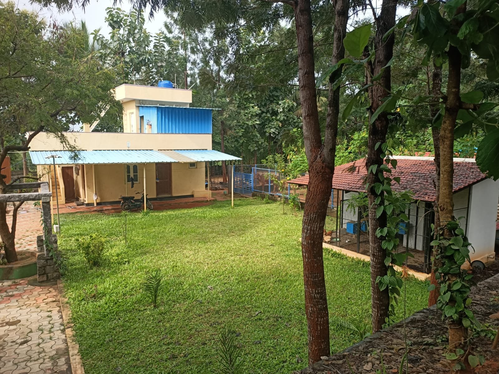 WhatsApp-Image-2025-04-25-at-2.43.49-PM