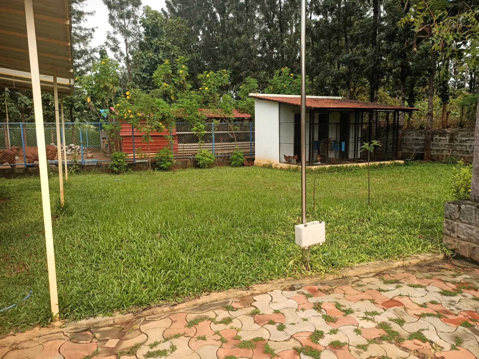 WhatsApp-Image-2025-04-25-at-2.43.52-PM