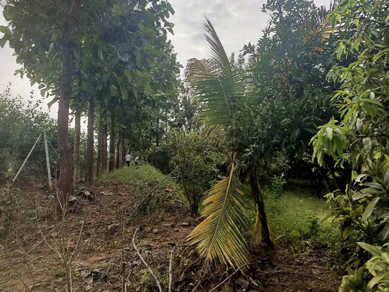 WhatsApp-Image-2025-04-25-at-2.43.56-PM