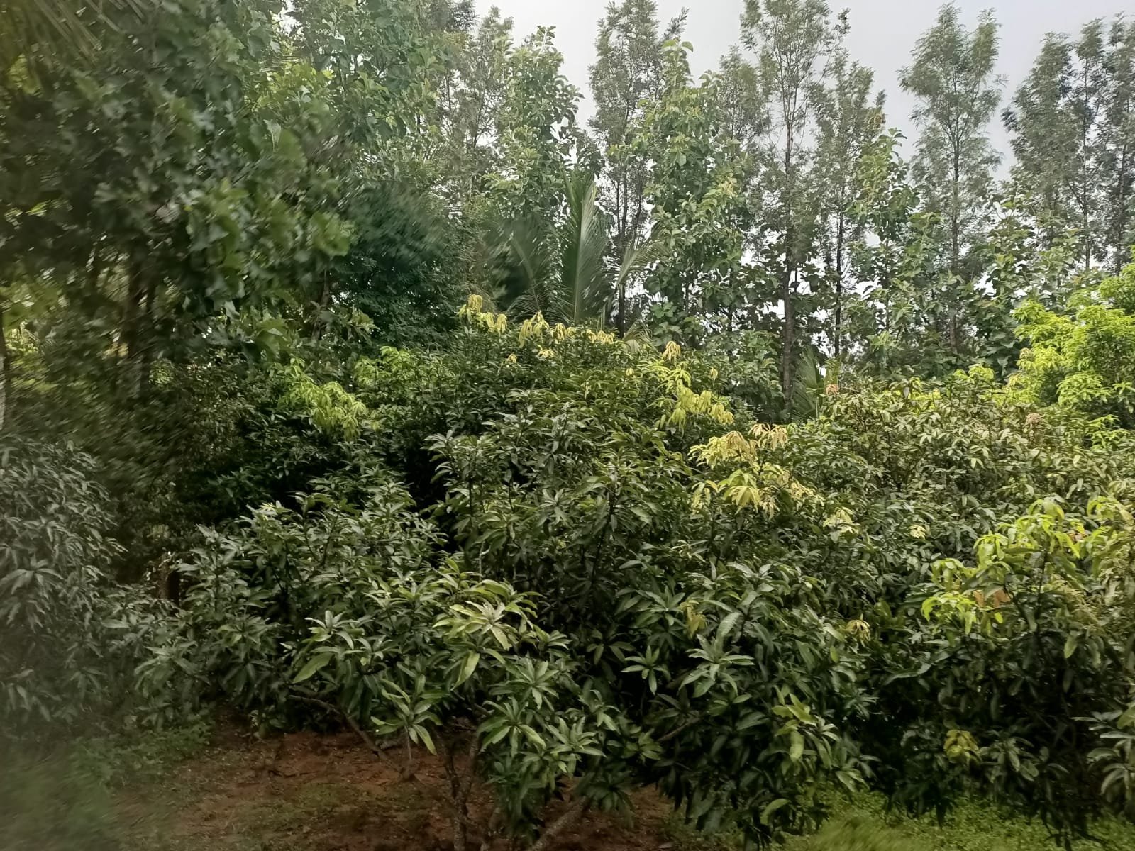 WhatsApp-Image-2025-04-25-at-2.43.57-PM